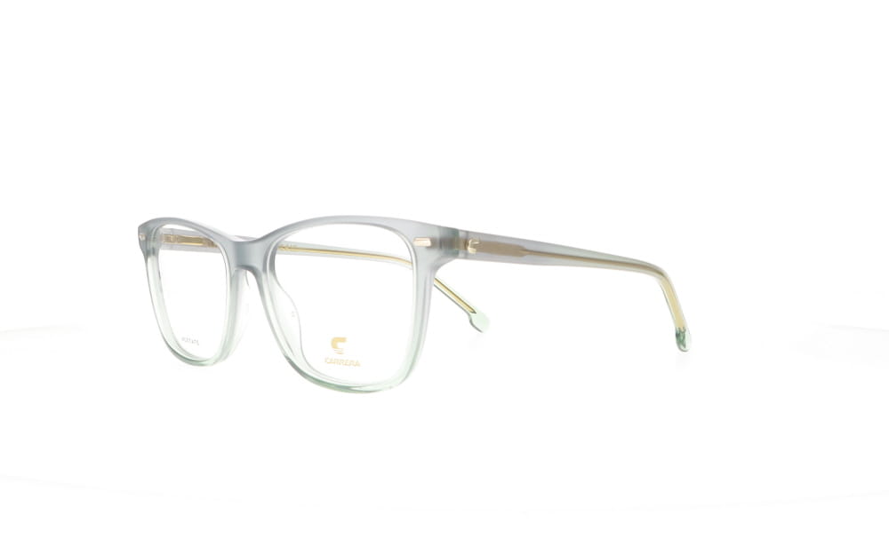 Carrera CA 3009