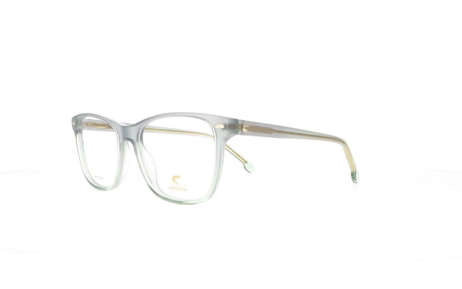 Carrera CA 3009