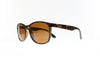 Ray-Ban RB 4374