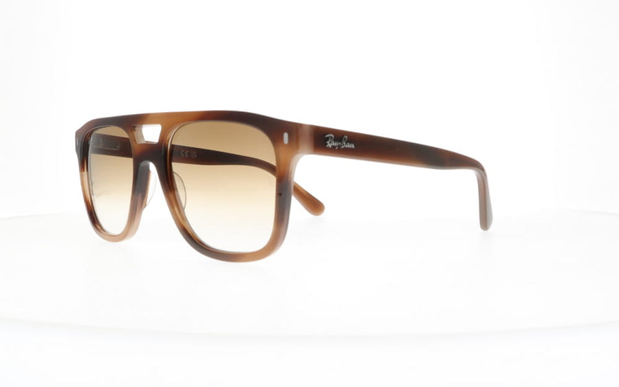 Ray-Ban RB 2213