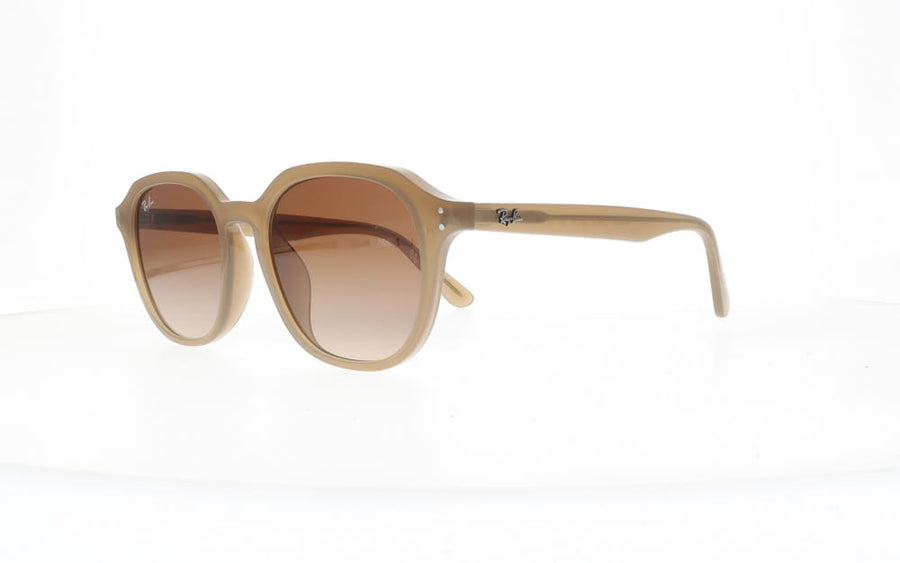 Ray-Ban RB 4459D