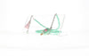 Fifi's World FK010 FIO KIDS VERDE MENTA E GELADO